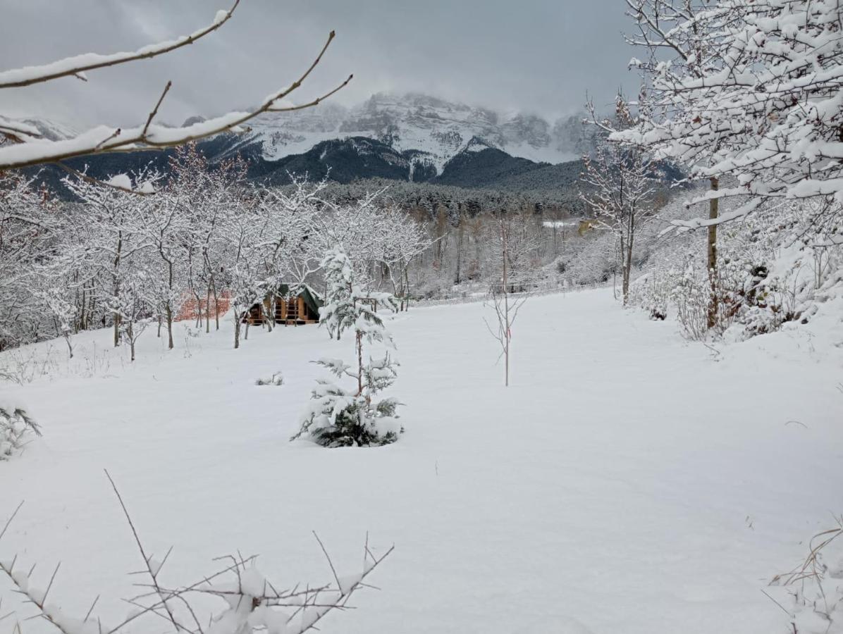 Вилла Cal Ferrer Habitatge Rural Cava Экстерьер фото