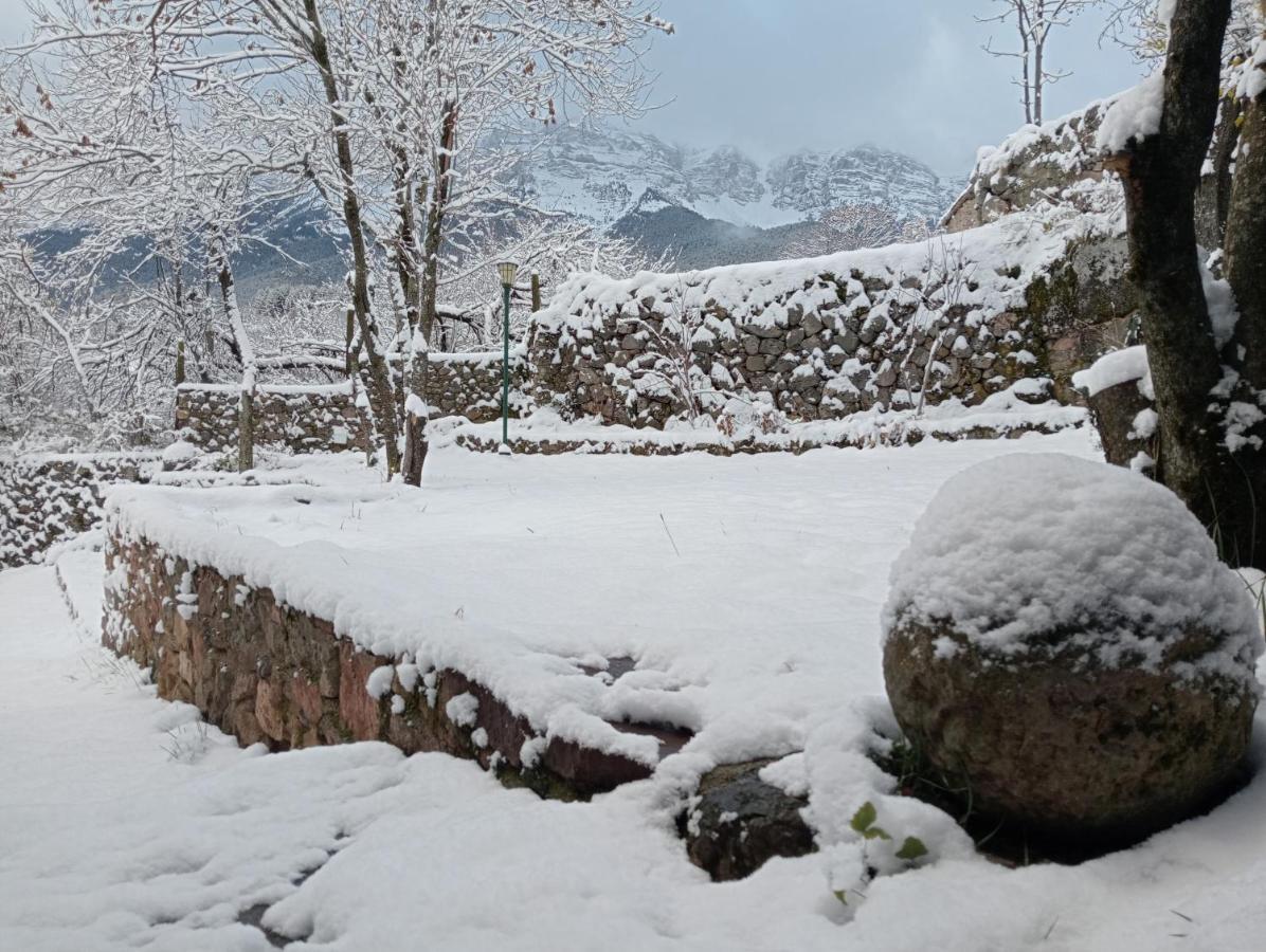 Вилла Cal Ferrer Habitatge Rural Cava Экстерьер фото